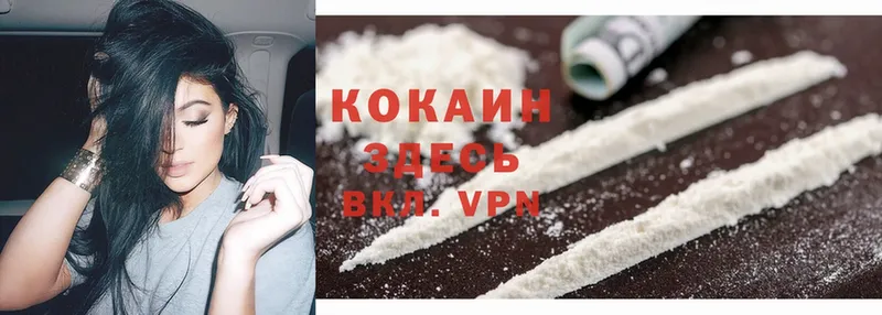 Cocaine Эквадор  где купить наркоту  Билибино 